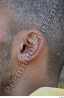 Street  795 ear 0001.jpg